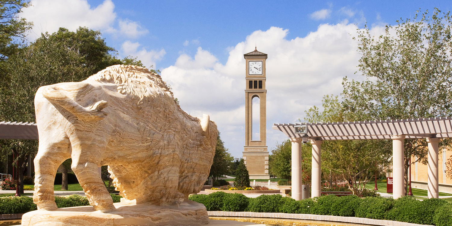 WTbuffalo-fountain-homepage